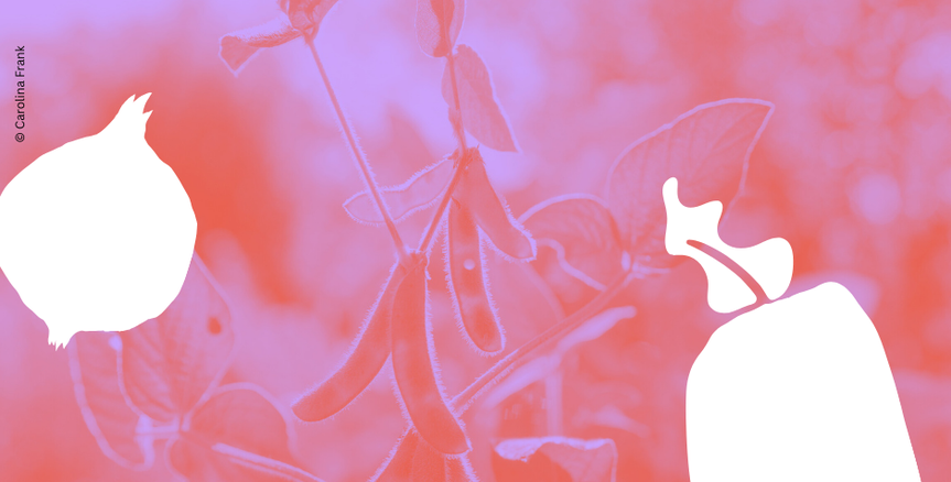 Was is(s)t gerecht? Lehrgang für Multiplikator*innen