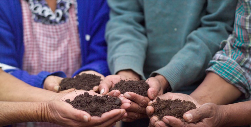 52 Organisationen an Landwirtschaftsminister Totschnig: Wir brauchen eine neue Agrarpolitik!
