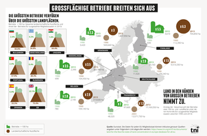 Großflächige Betriebe breiten sich aus